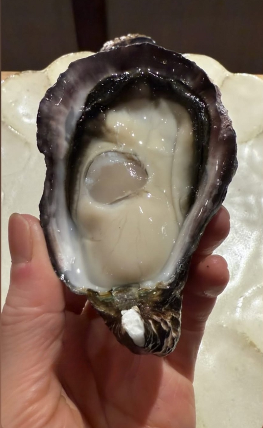 一徹（いってつ） ブランド牡蠣 清水水産