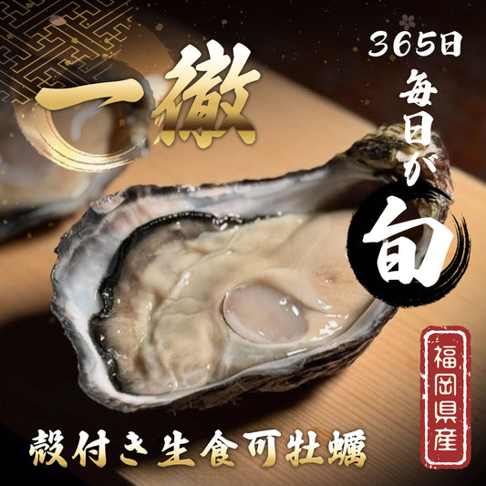 一徹（いってつ） ブランド牡蠣 清水水産