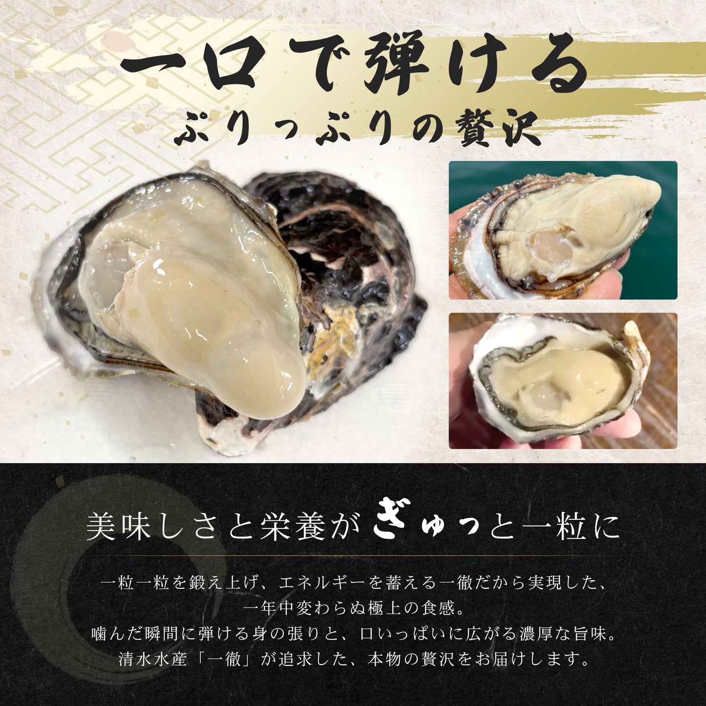 一徹（いってつ） ブランド牡蠣 清水水産