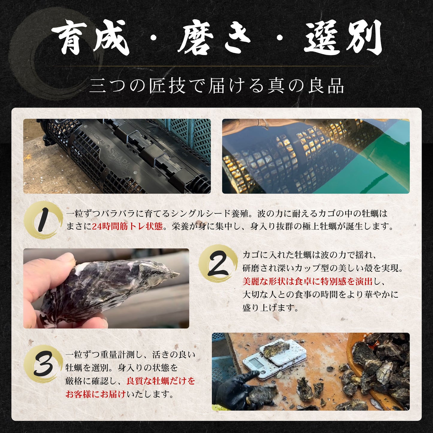 一徹（いってつ） ブランド牡蠣 清水水産